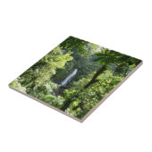 Trafalgar Herfsten Tropische regenwoufotografie Tegeltje (Zijkant)