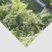 Trafalgar Herfsten Tropische regenwoufotografie Tissuepapier (Detail)