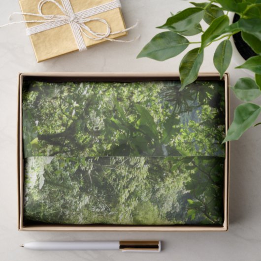 Trafalgar Herfsten Tropische regenwoufotografie Tissuepapier (Geschenk)