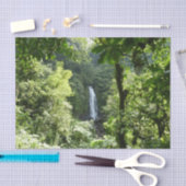 Trafalgar Herfsten Tropische regenwoufotografie Tissuepapier (Craft)