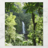 Trafalgar Herfsten Tropische regenwoufotografie Wijn Etiket (Enkel label)