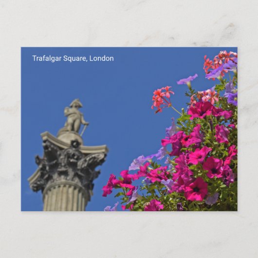 Trafalgar Square Nelson's Column, Londen Verenigd  Briefkaart (Voorkant)