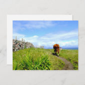 Traffic Jam, Isle of Iona Briefkaart (Voorkant / Achterkant)