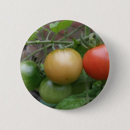 Traffic Light Tomaten Button (Voorkant)
