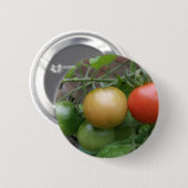 Traffic Light Tomaten Button (Voorkant /achterkant)