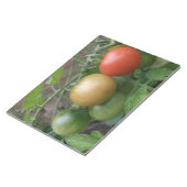 Traffic Light Tomaten-laptop Notitieblok (Schuin)