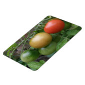 Traffic Light Tomaten Premium Magnet Magneet (Linkerzijde)