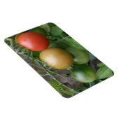 Traffic Light Tomaten Premium Magnet Magneet (Rechterzijde)