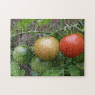 Traffic Light Tomaten Puzzle Legpuzzel