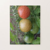 Traffic Light Tomaten Puzzle Legpuzzel (Verticaal)