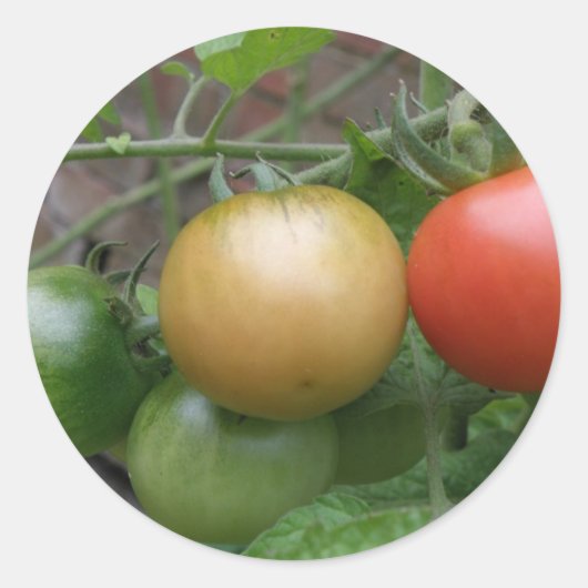 Traffic Light Tomaten Stickers (Voorkant)