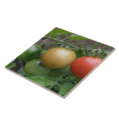 Traffic Light Tomaten Tile Tegeltje (Zijkant)