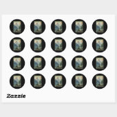 Trafoi Passo dello Stelvio Ronde Sticker (Vel)