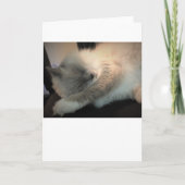 Trage dagen, kaart (Voorkant)