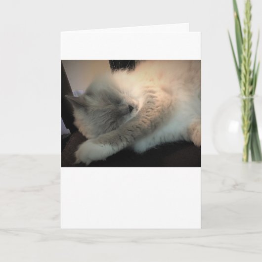 Trage dagen, kaart (Voorkant)