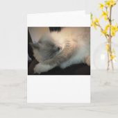 Trage dagen, kaart (Gele Bloem)