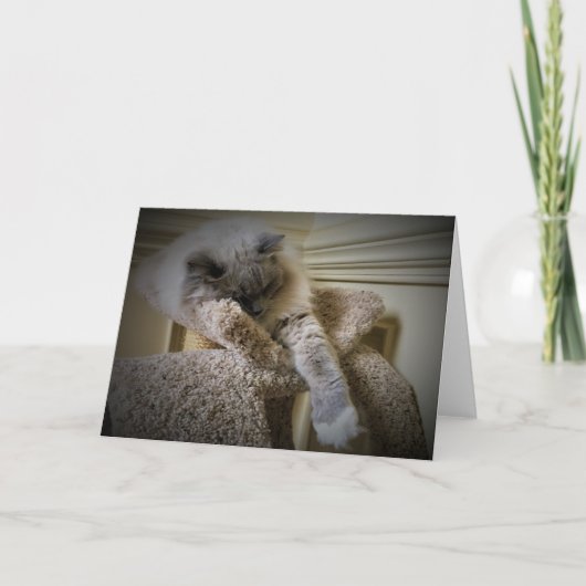 Trage dagen, kaart (Voorkant)