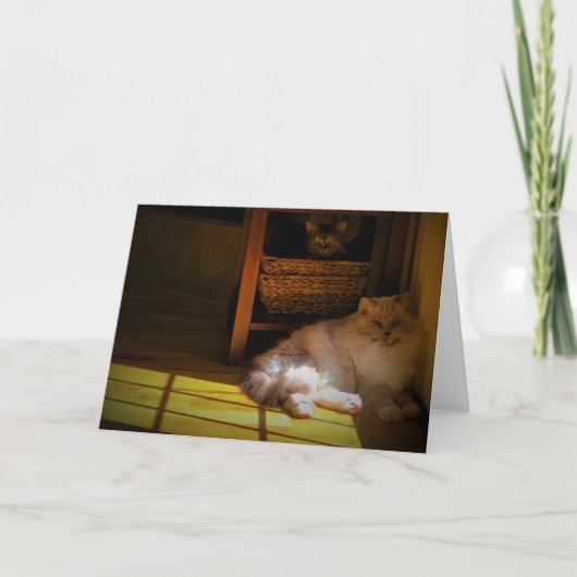 Trage dagen, kaart (Voorkant)