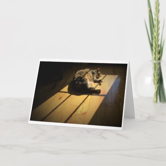 Trage dagen, kaart (Voorkant)