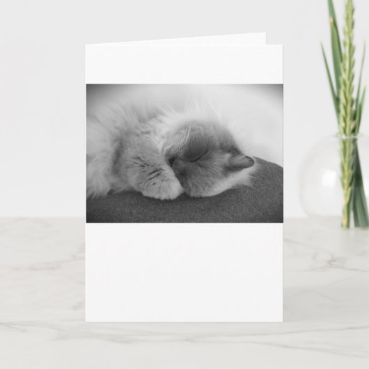 Trage dagen, kaart (Voorkant)