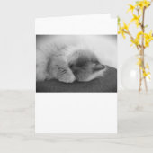 Trage dagen, kaart (Gele Bloem)