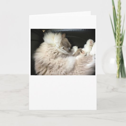 Trage dagen, kaart (Voorkant)