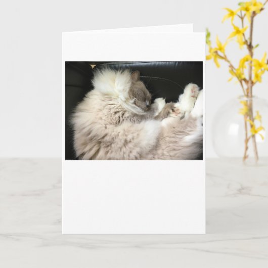 Trage dagen, kaart (Gele Bloem)