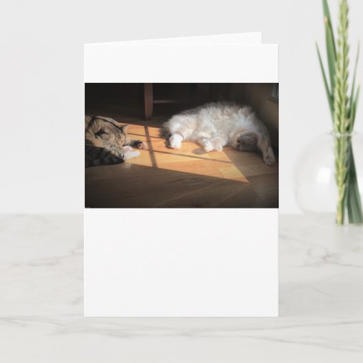 Trage dagen, kaart (Voorkant)