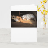 Trage dagen, kaart (Gele Bloem)