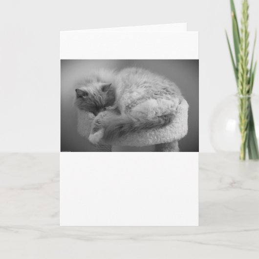 Trage dagen, kaart (Voorkant)