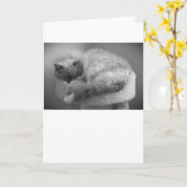 Trage dagen, kaart (Gele Bloem)