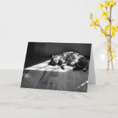 Trage dagen, kaart (Gele Bloem)