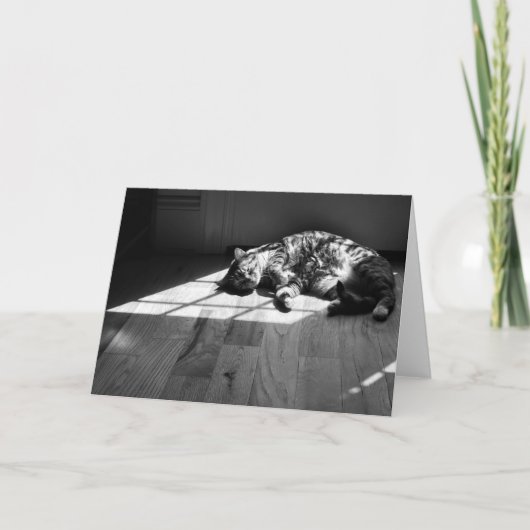 Trage dagen, kaart (Voorkant)