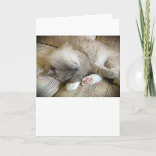 Trage dagen, kaart (Voorkant)