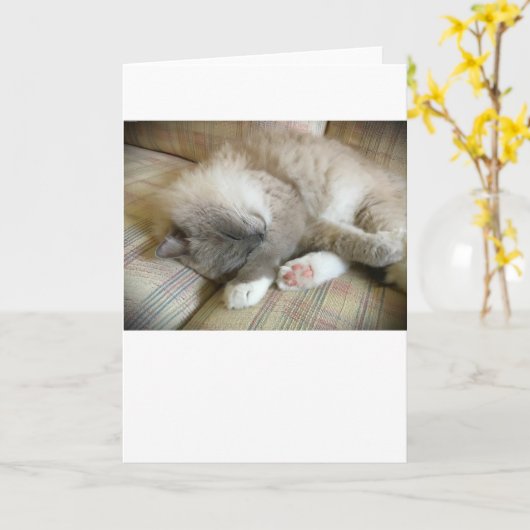 Trage dagen, kaart (Gele Bloem)