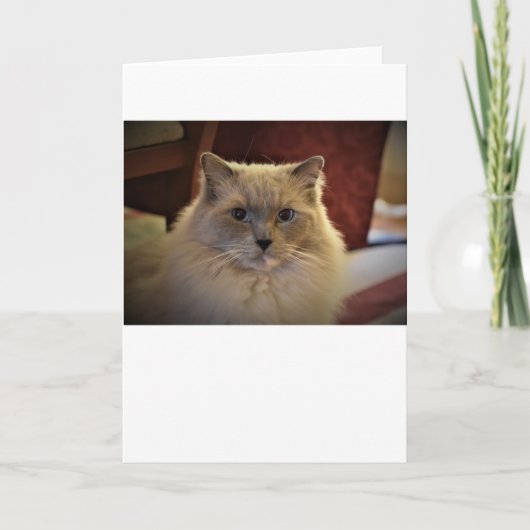 Trage dagen, kaart (Voorkant)