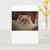 Trage dagen, kaart (Gele Bloem)