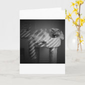 Trage dagen, kaart (Gele Bloem)