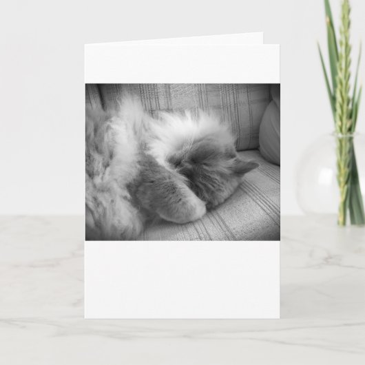 Trage dagen, kaart (Voorkant)