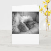 Trage dagen, kaart (Gele Bloem)