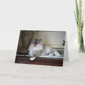 Trage dagen, kaart (Voorkant)