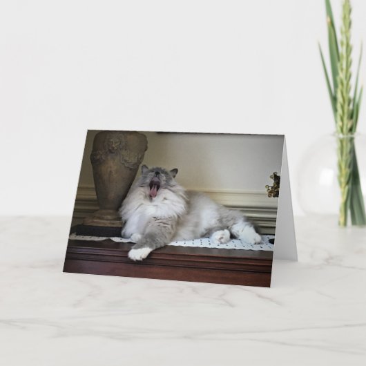 Trage dagen, kaart (Voorkant)