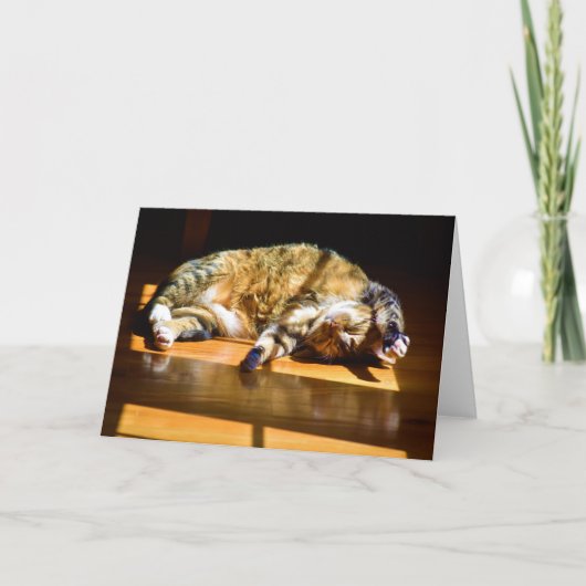 Trage dagen, kaart (Voorkant)