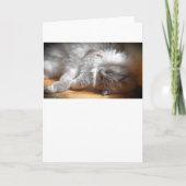 Trage dagen, kaart (Voorkant)