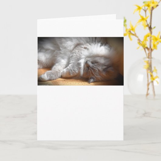 Trage dagen, kaart (Gele Bloem)