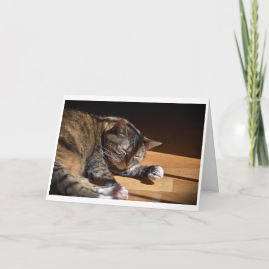 Trage dagen, kaart (Voorkant)