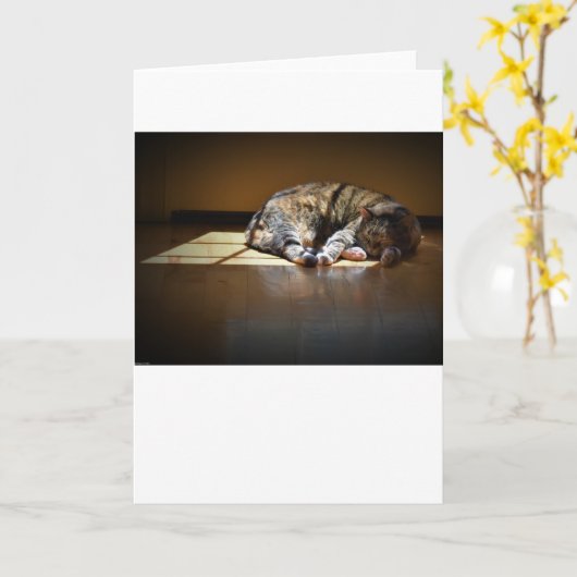 Trage dagen, kaart (Gele Bloem)