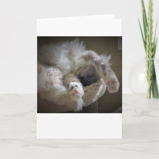 Trage dagen, kaart (Voorkant)