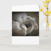 Trage dagen, kaart (Gele Bloem)