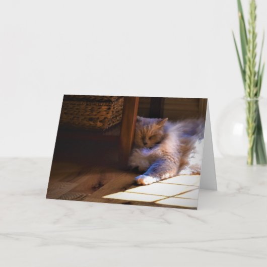 Trage dagen, kaart (Voorkant)